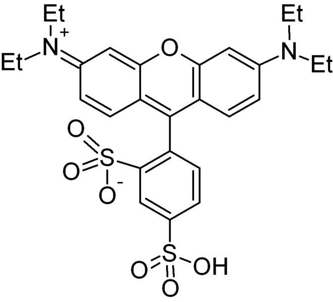 Sulforhodamine B